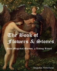 The Book of Flowers and Stones